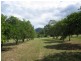 76 Howards Road, Burringbar NSW 2483