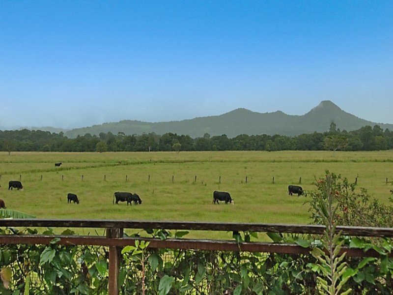 34 Wilson Creek Road, Mullumbimby NSW 2482