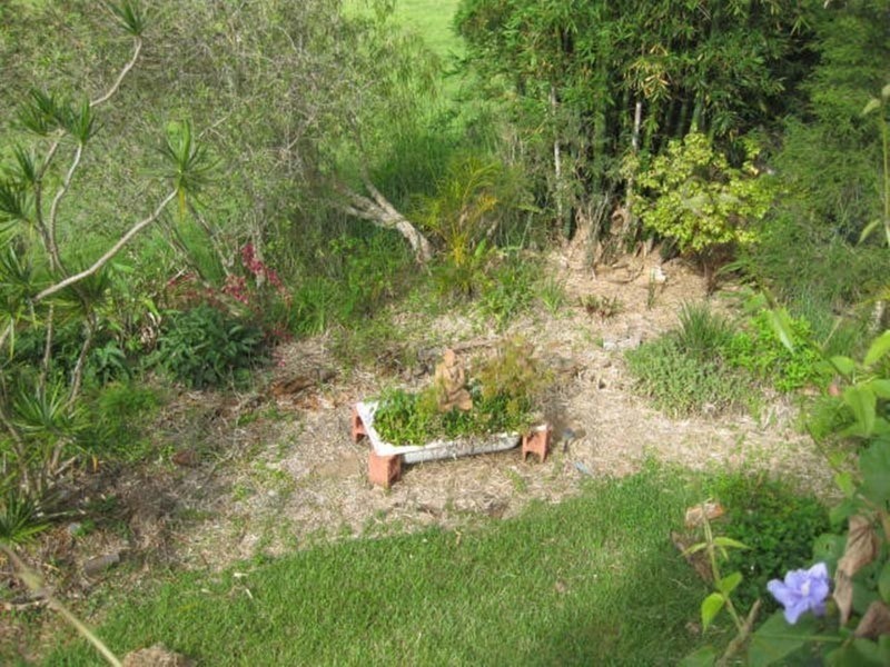 34 Wilson Creek Road, Mullumbimby NSW 2482