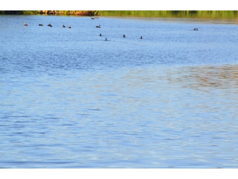 South Ballina NSW 2478