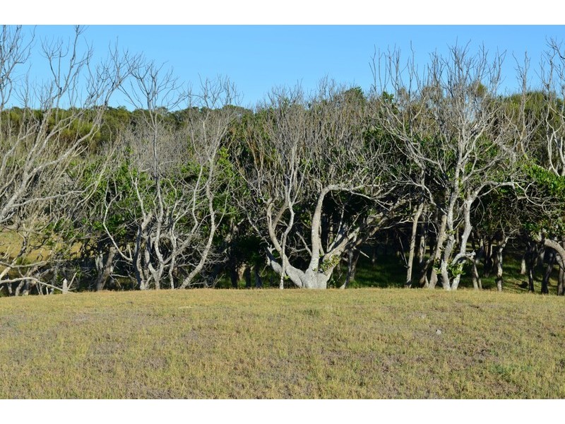 South Ballina NSW 2478