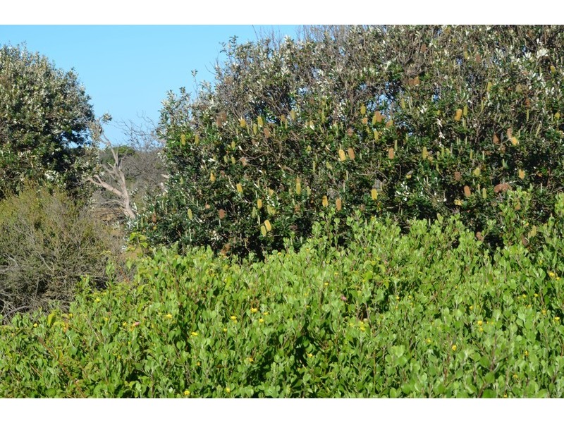 South Ballina NSW 2478