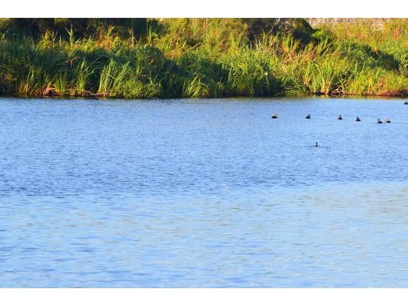 South Ballina NSW 2478