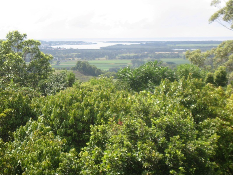 409 Uralba Road, Uralba NSW 2477