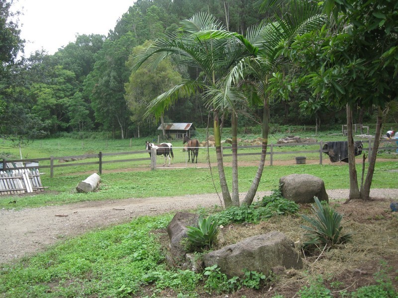 808 Main Arm Road, Mullumbimby NSW 2482