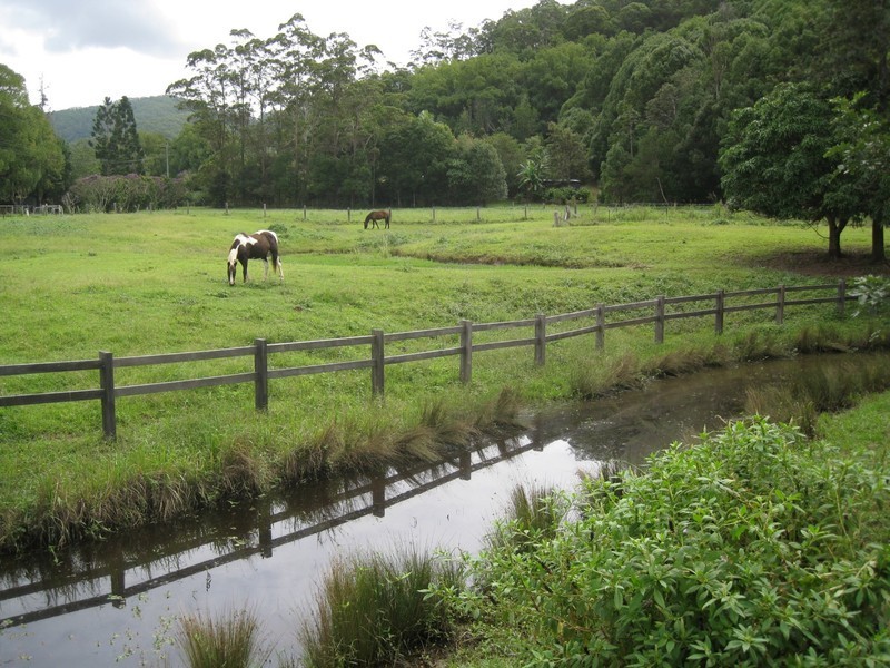 808 Main Arm Road, Mullumbimby NSW 2482