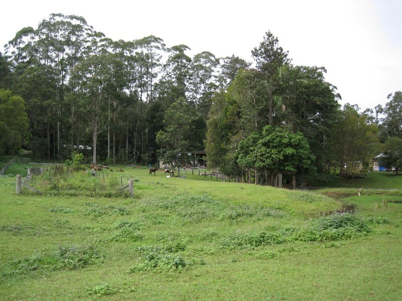 808 Main Arm Road, Mullumbimby NSW 2482