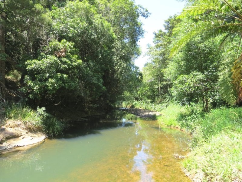 356 Burringbar Road, Burringbar NSW 2483