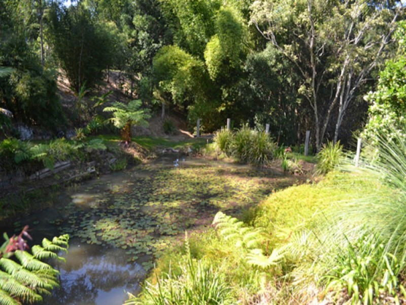 356 Burringbar Road, Burringbar NSW 2483