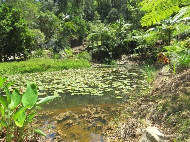 356 Burringbar Road, Burringbar NSW 2483