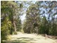 1268 Main Arm Road, Upper Main Arm NSW 2482