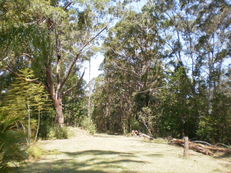 1268 Main Arm Road, Upper Main Arm NSW 2482