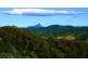 105 Hunter Street, Burringbar NSW 2483