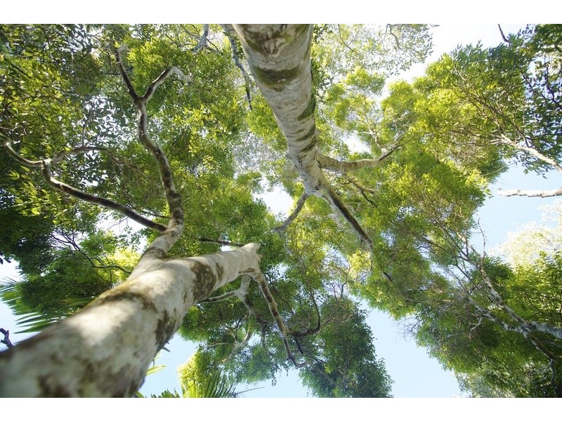 Lot 2 Bunjum, Seven Mile Beach Road, Broken Head NSW 2481