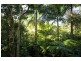 Lot 2 Bunjum, Seven Mile Beach Road, Broken Head NSW 2481