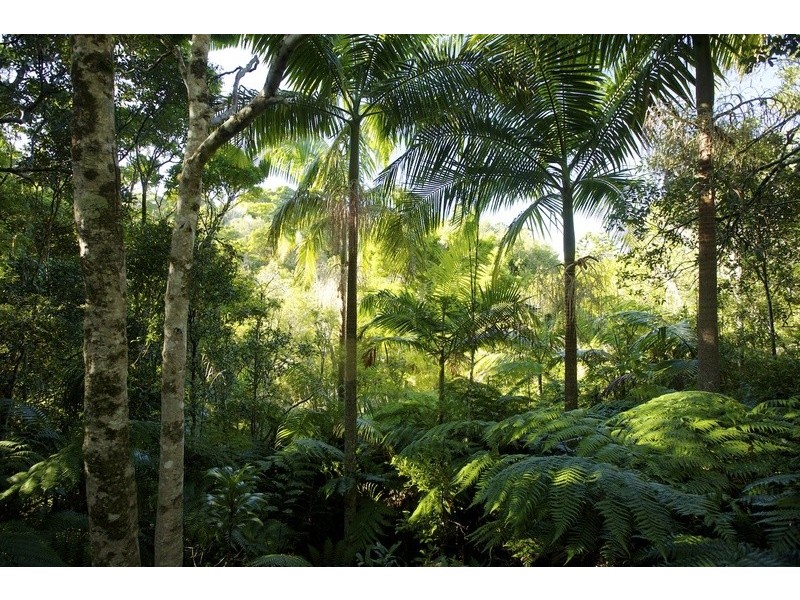 Lot 2 Bunjum, Seven Mile Beach Road, Broken Head NSW 2481