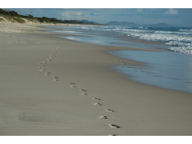 6 Gaggin Street, New Brighton NSW 2483