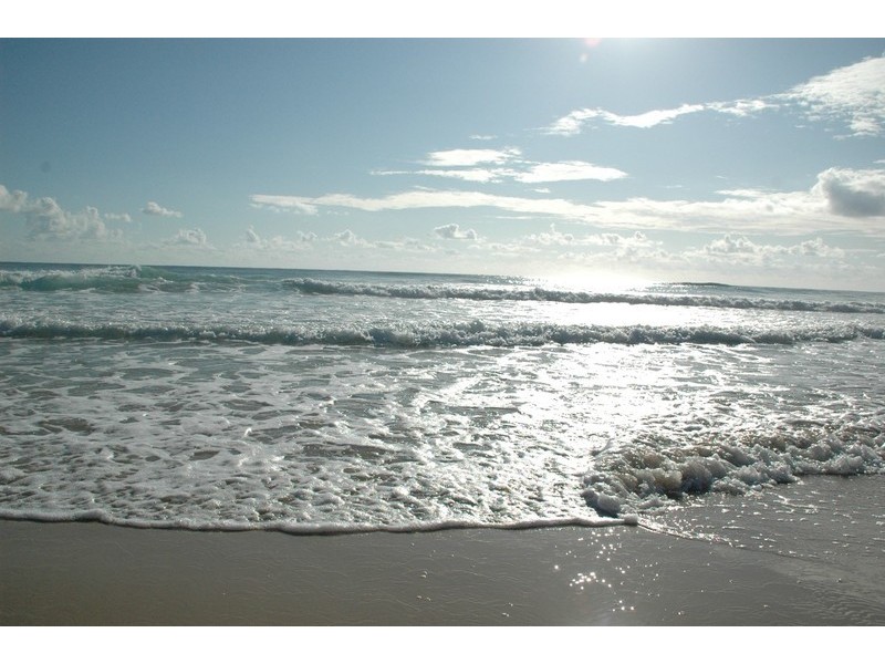 19 Muli Muli Avenue, Ocean Shores NSW 2483