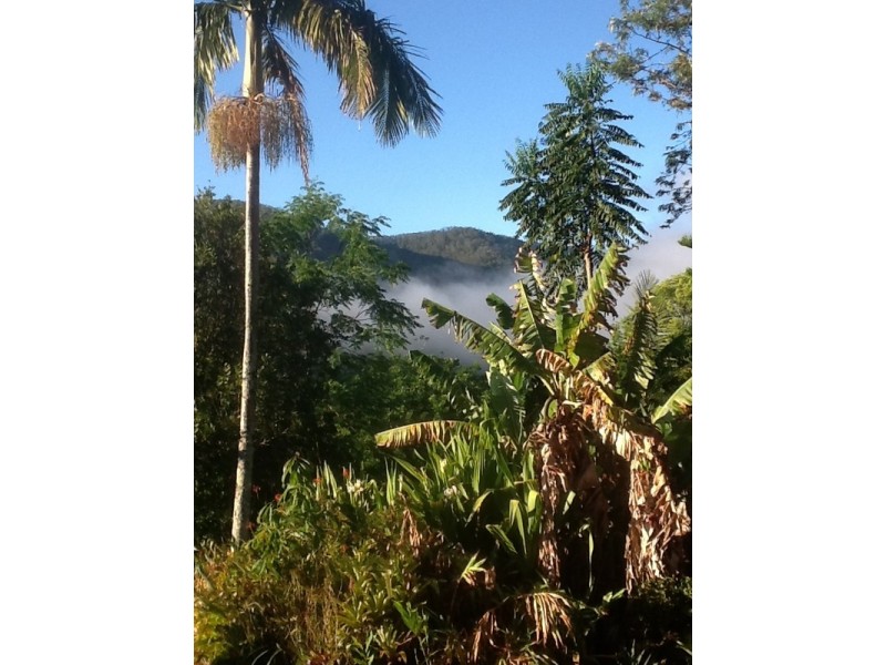 4/298 Huonbrook Road, Mullumbimby NSW 2482