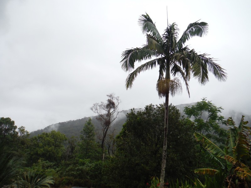 4/298 Huonbrook Road, Mullumbimby NSW 2482