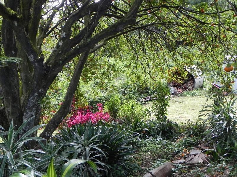 4/298 Huonbrook Road, Mullumbimby NSW 2482