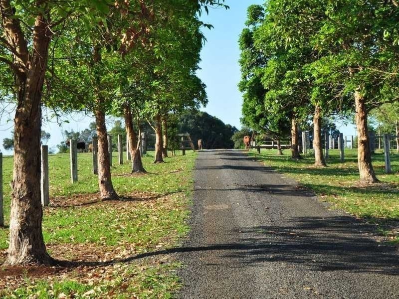 118 Beacon Road, Teven NSW 2478