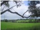 38 May Street, Dunoon NSW 2480
