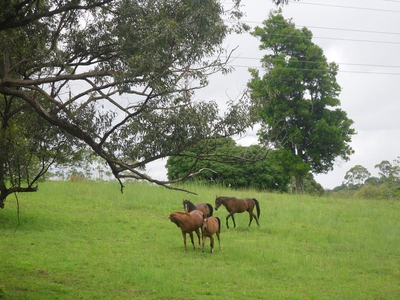 38 May Street, Dunoon NSW 2480