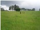 38 May Street, Dunoon NSW 2480