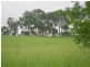38 May Street, Dunoon NSW 2480