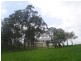 38 May Street, Dunoon NSW 2480