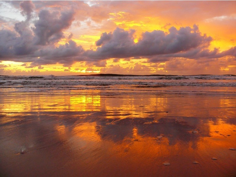 1 The Esplanade, New Brighton NSW 2483