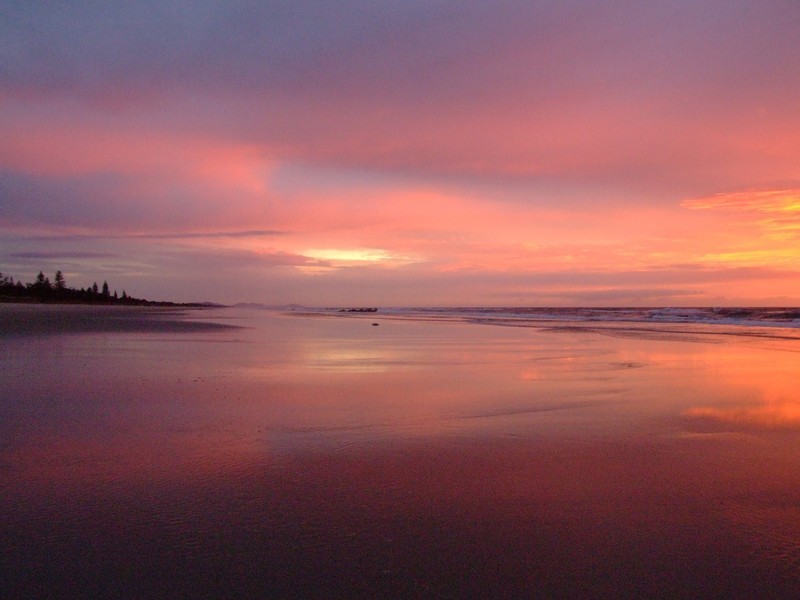 1 The Esplanade, New Brighton NSW 2483