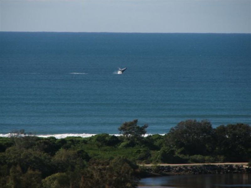 Lot 2, 5 Yackatoon Court, Ocean Shores NSW 2483