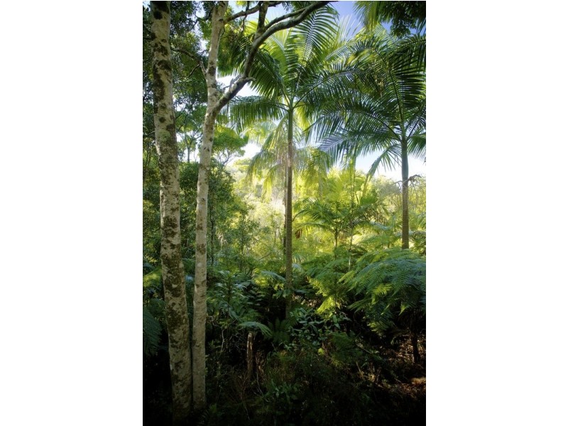 Lot 2 Bunjum, Seven Mile Beach Road, Broken Head NSW 2481