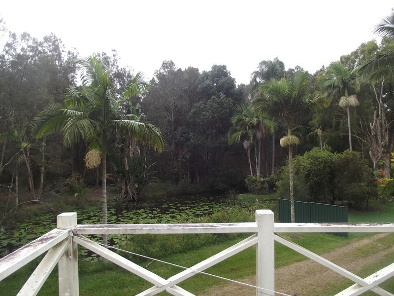 Skinners Shoot NSW 2481