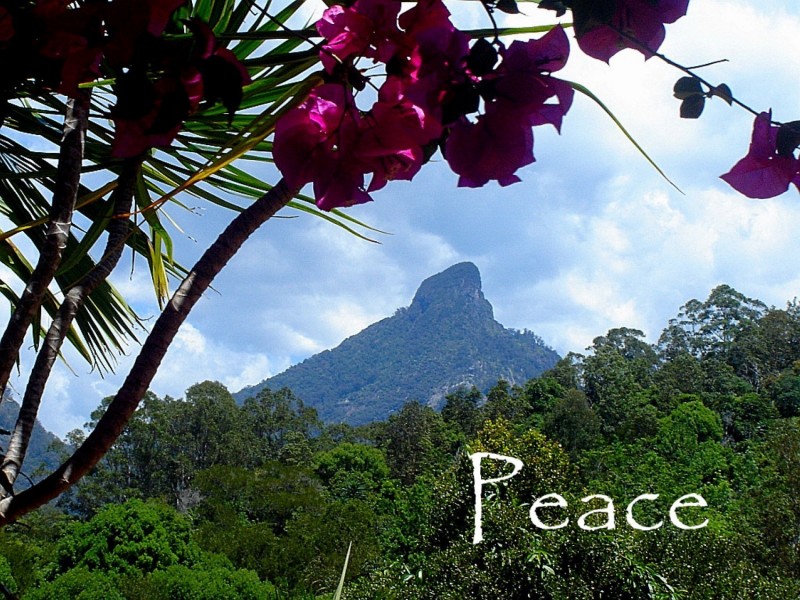 112 Mount Warning Road, Murwillumbah NSW 2484