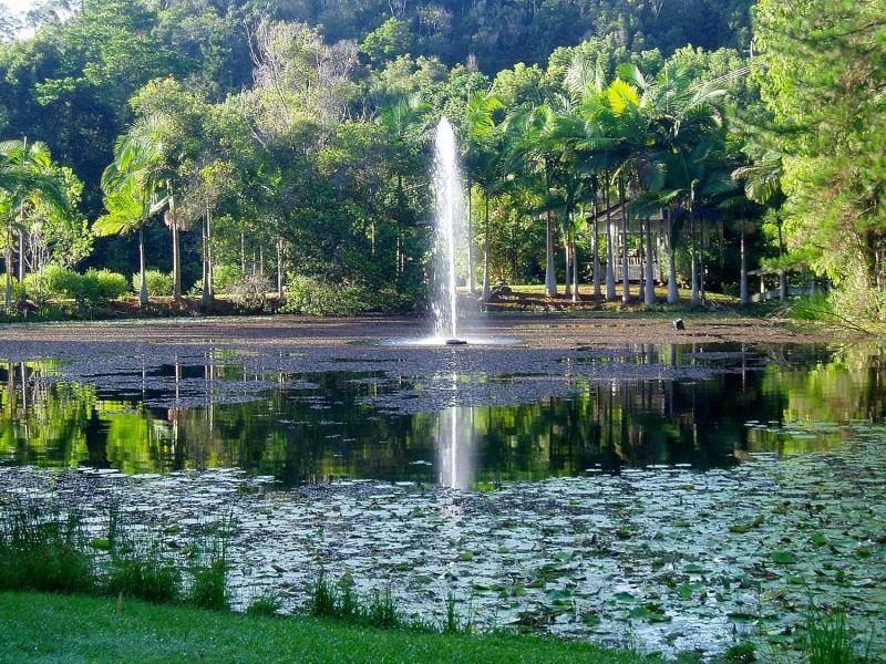 112 Mount Warning Road, Murwillumbah NSW 2484