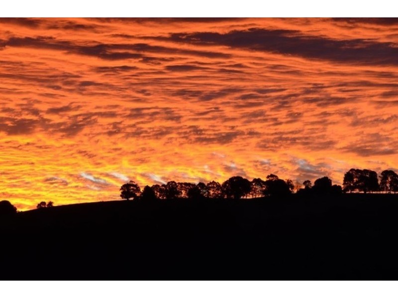 68 Fredricks Lane, Tintenbar NSW 2478