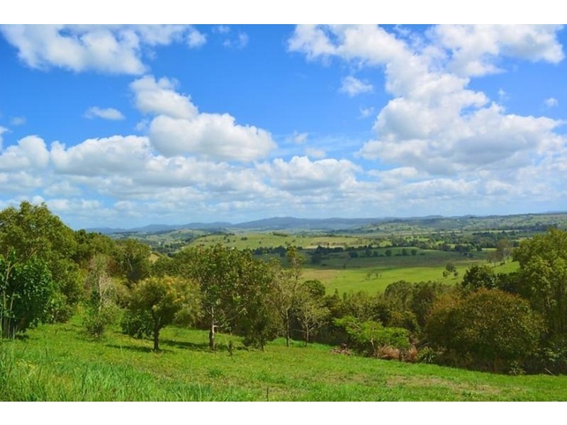 Richmond Hill NSW 2480