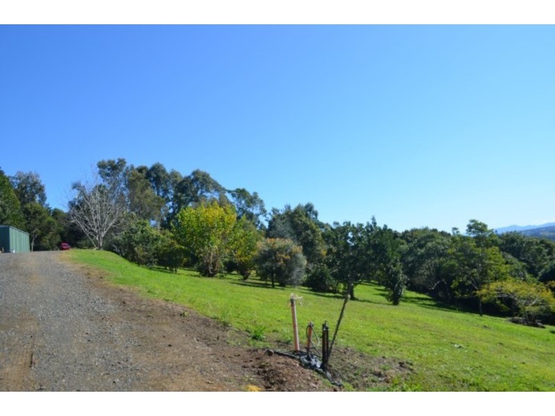 Richmond Hill NSW 2480