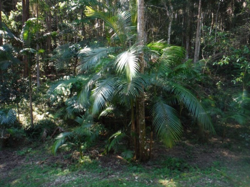 Lot 2 Seven Mile Beach Road, Broken Head NSW 2481