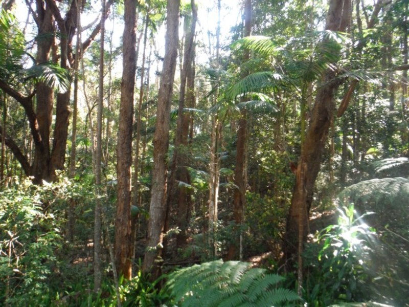 Lot 2 Seven Mile Beach Road, Broken Head NSW 2481