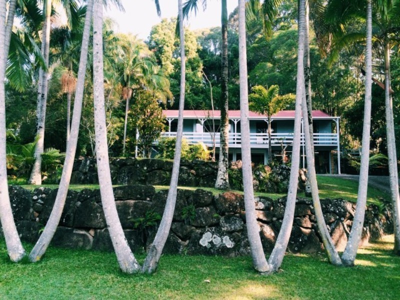 123 Balemo Drive, Ocean Shores NSW 2483