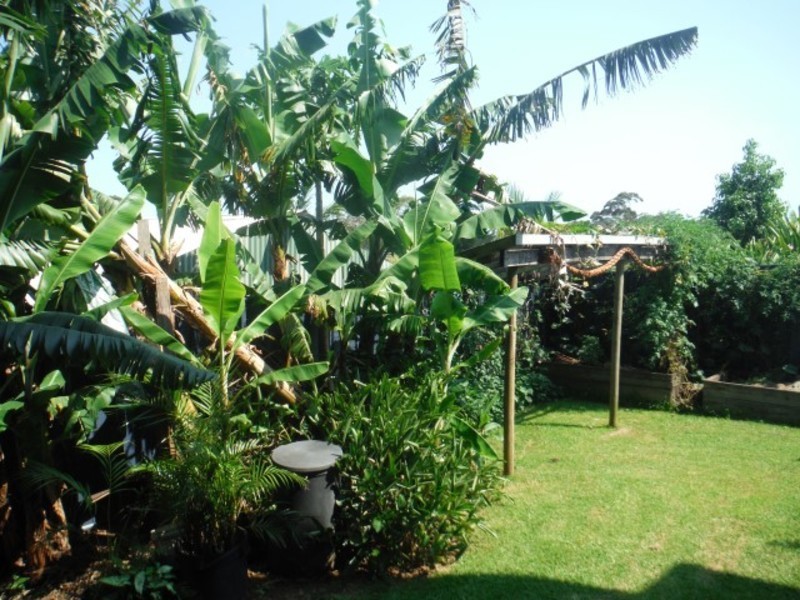 10 PALMER Avenue, Ocean Shores NSW 2483