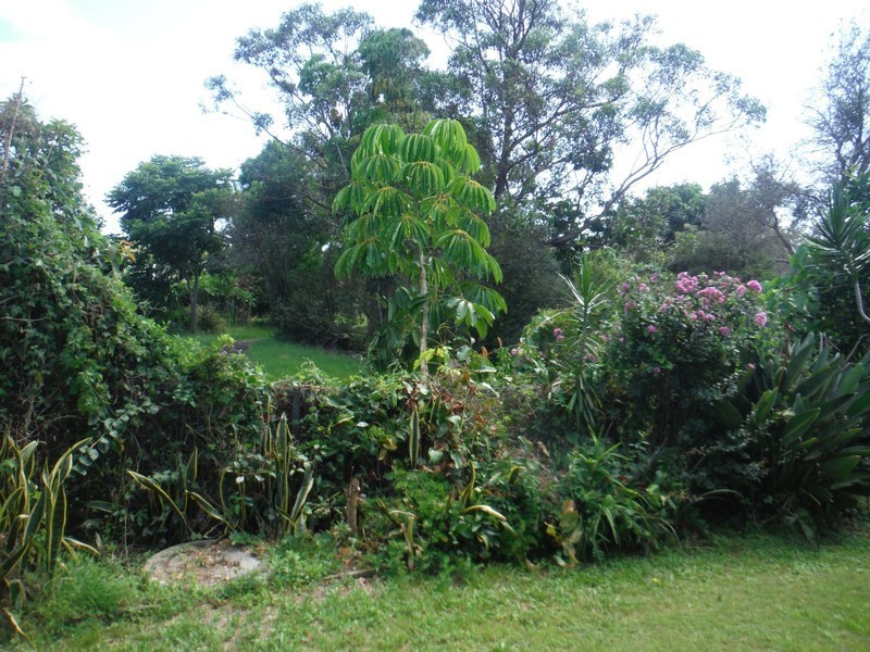 3/31 Kingsford Drive, Brunswick Heads NSW 2483