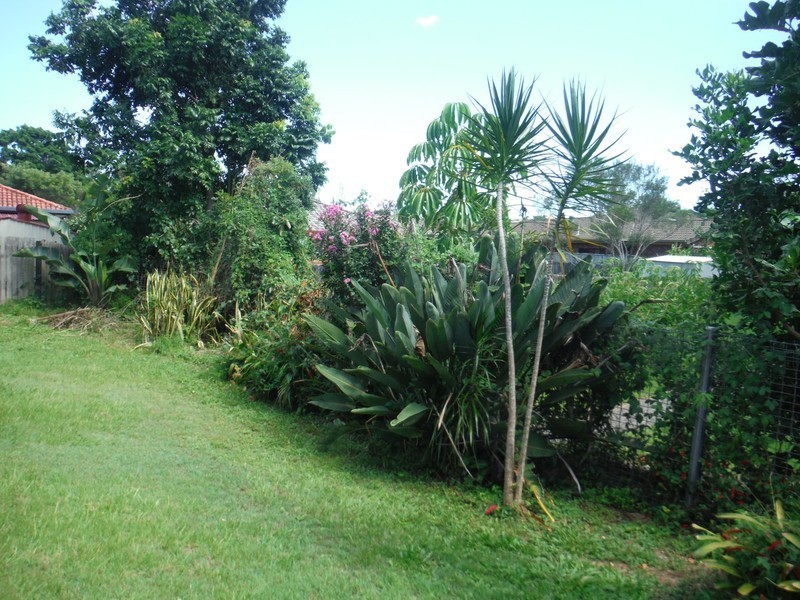 3/31 Kingsford Drive, Brunswick Heads NSW 2483