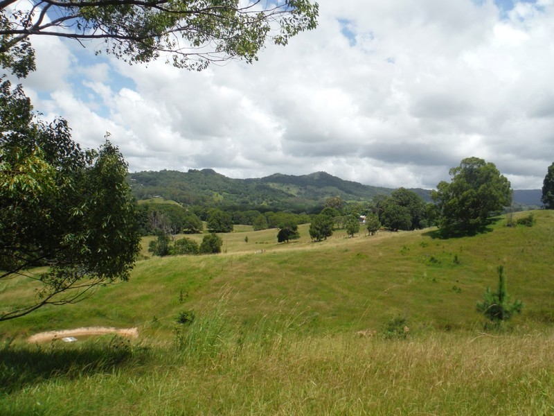 156 THE POCKET Road, Billinudgel NSW 2483