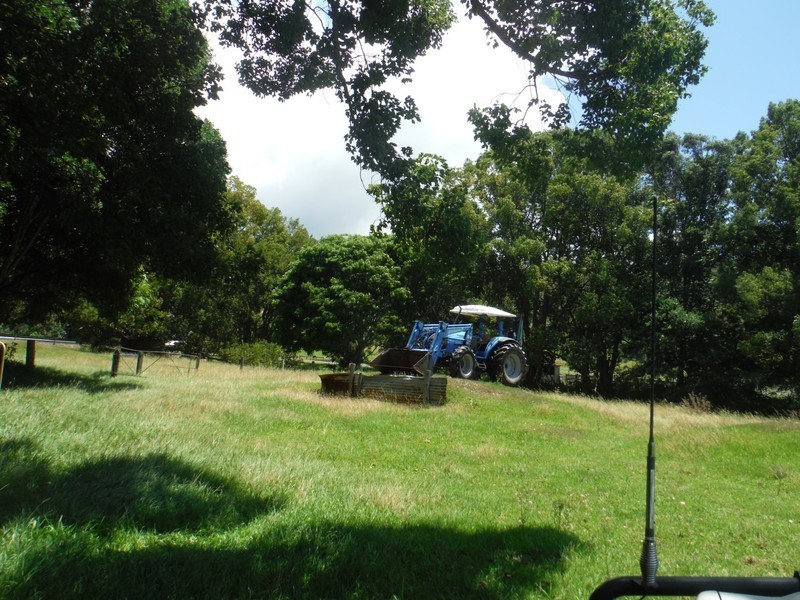 156 THE POCKET Road, Billinudgel NSW 2483