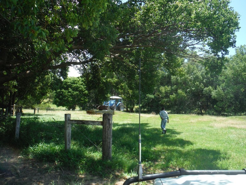 156 THE POCKET Road, Billinudgel NSW 2483